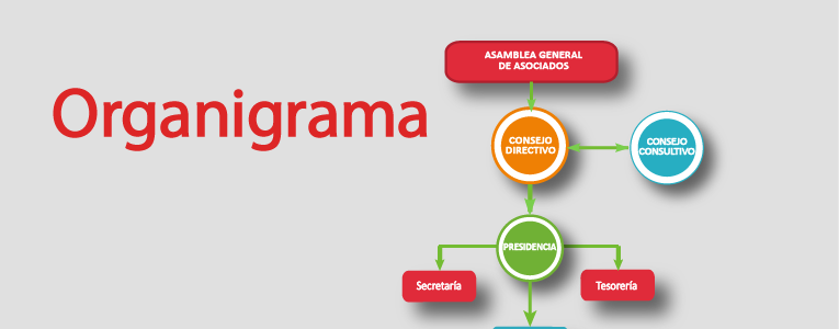 Organigrama