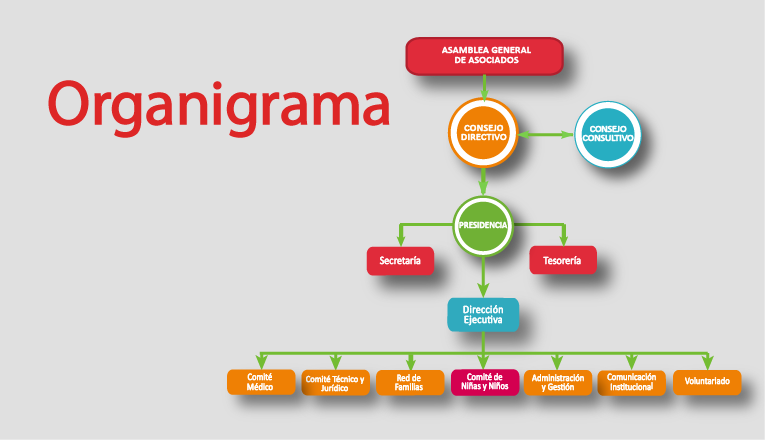 Organigrama