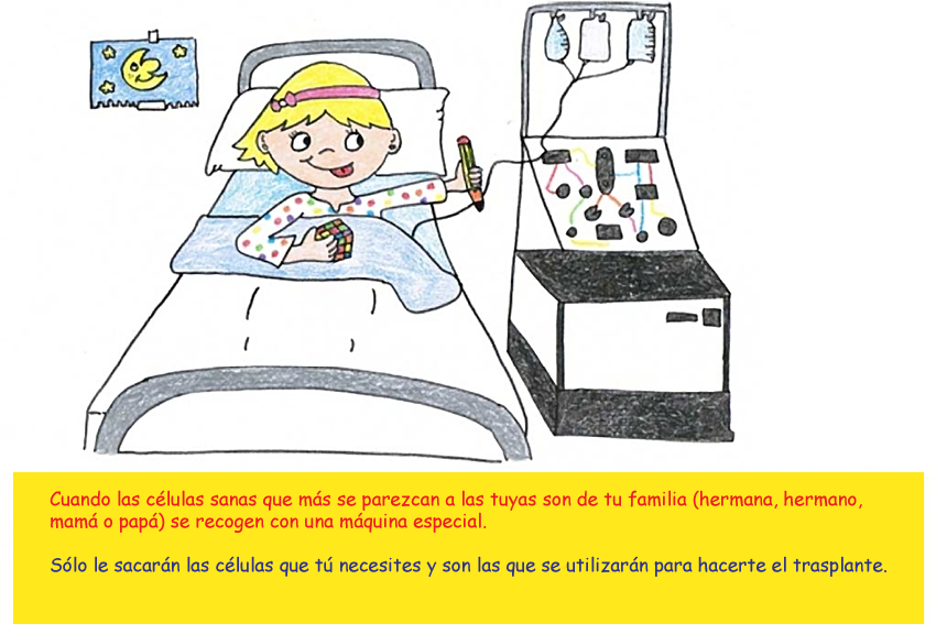 Slide trasplante-05